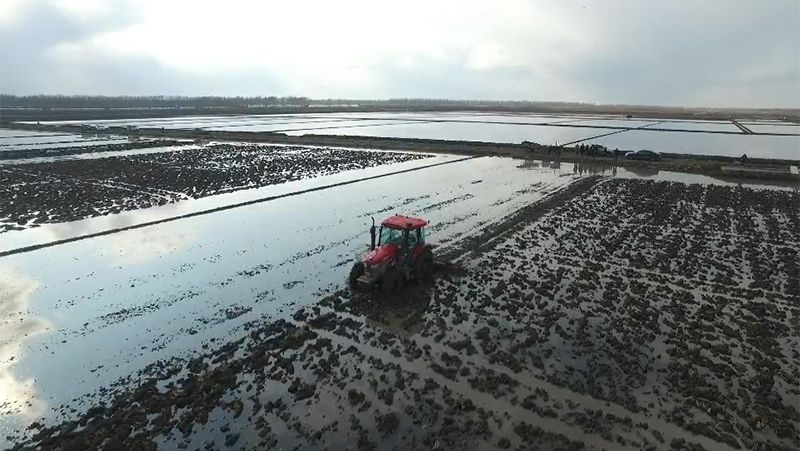 LY1104-C Trator sem motorista em operação